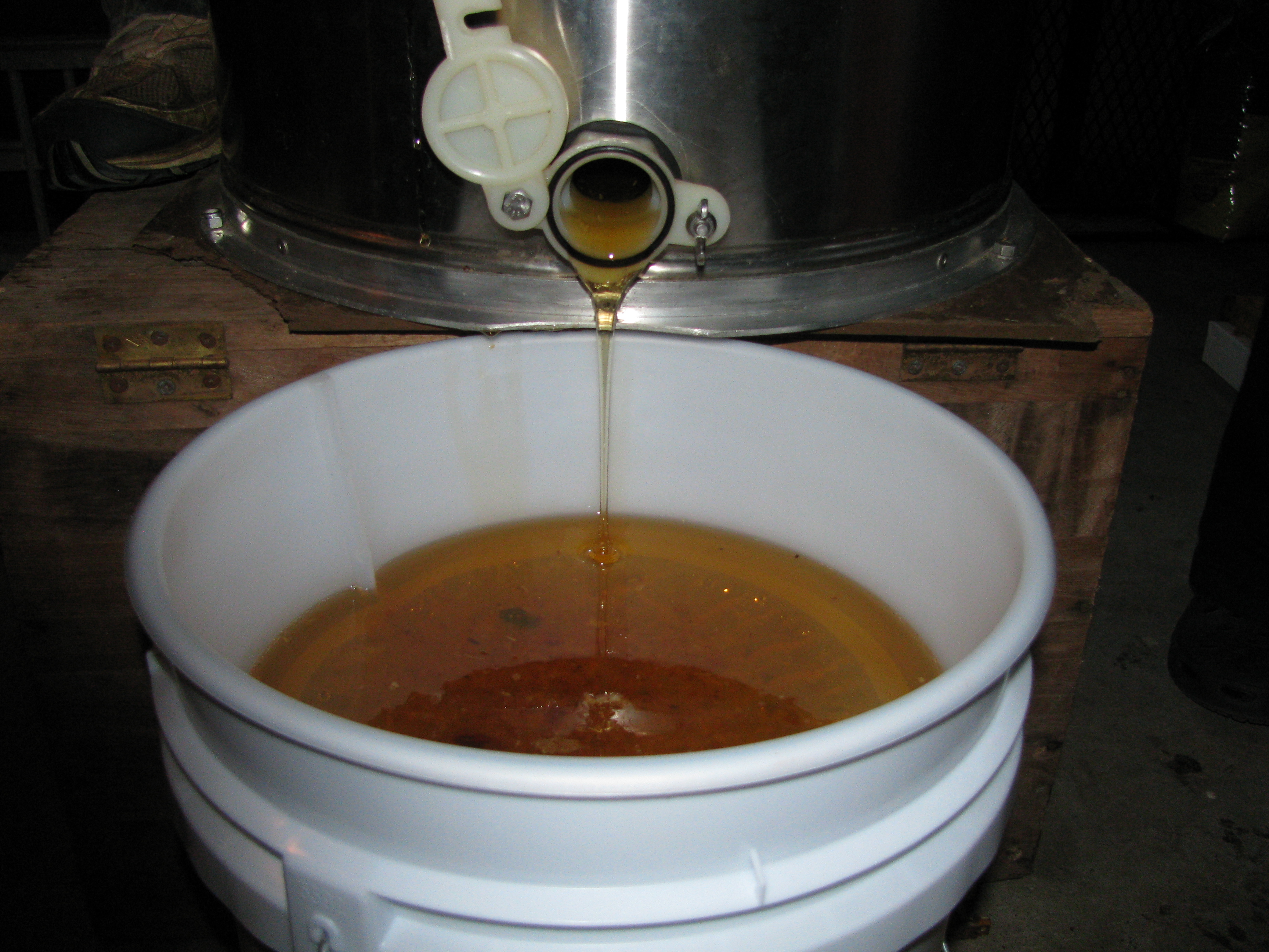 Honey draining from the extractor through the filter